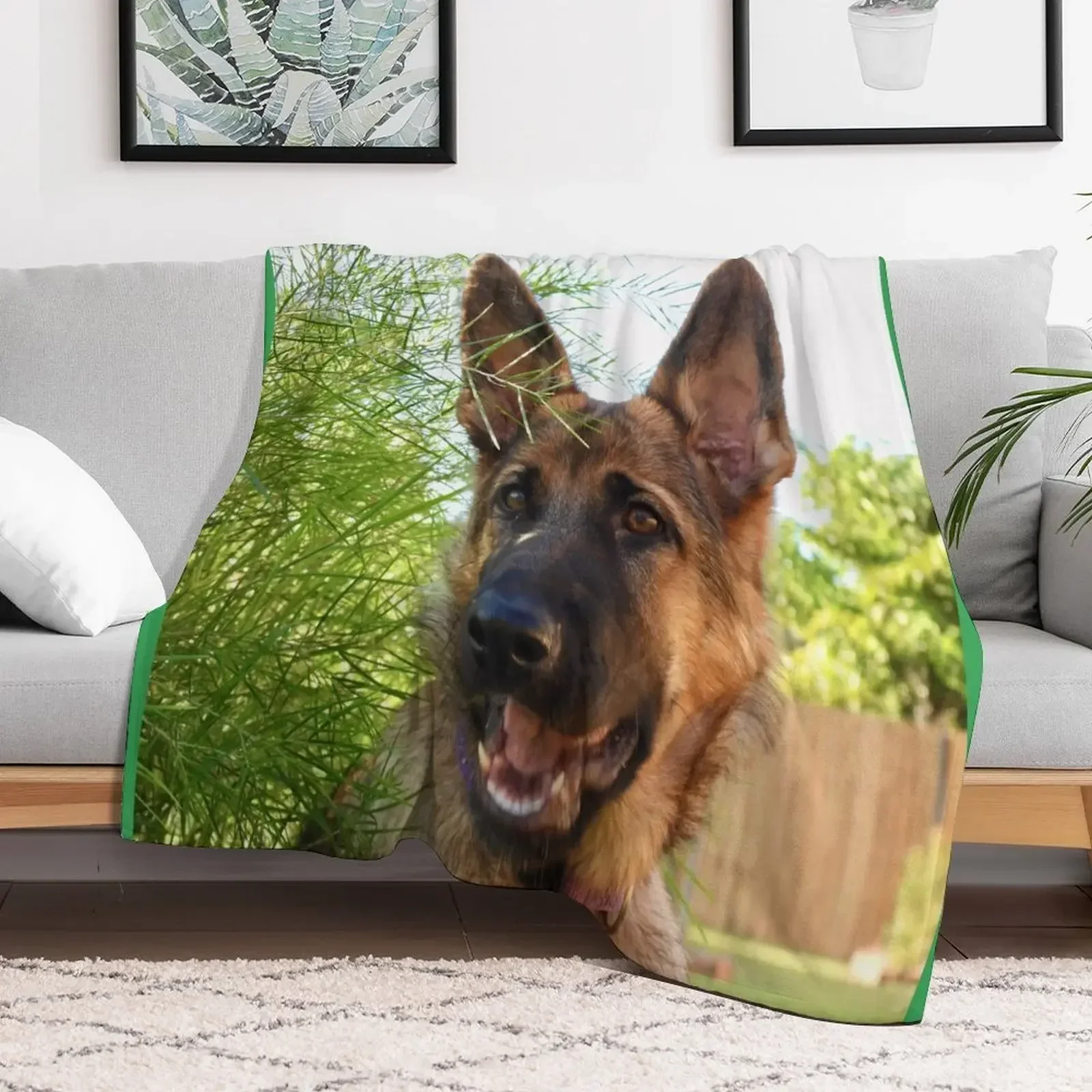 German Shepherd Service Dog Throw Blanket Sleeping Bag Weighted funny gift Stuffeds Blankets
German Shepherd Service Dog Throw Blanket Sleeping Bag Weighted funny gift Stuffeds Blankets