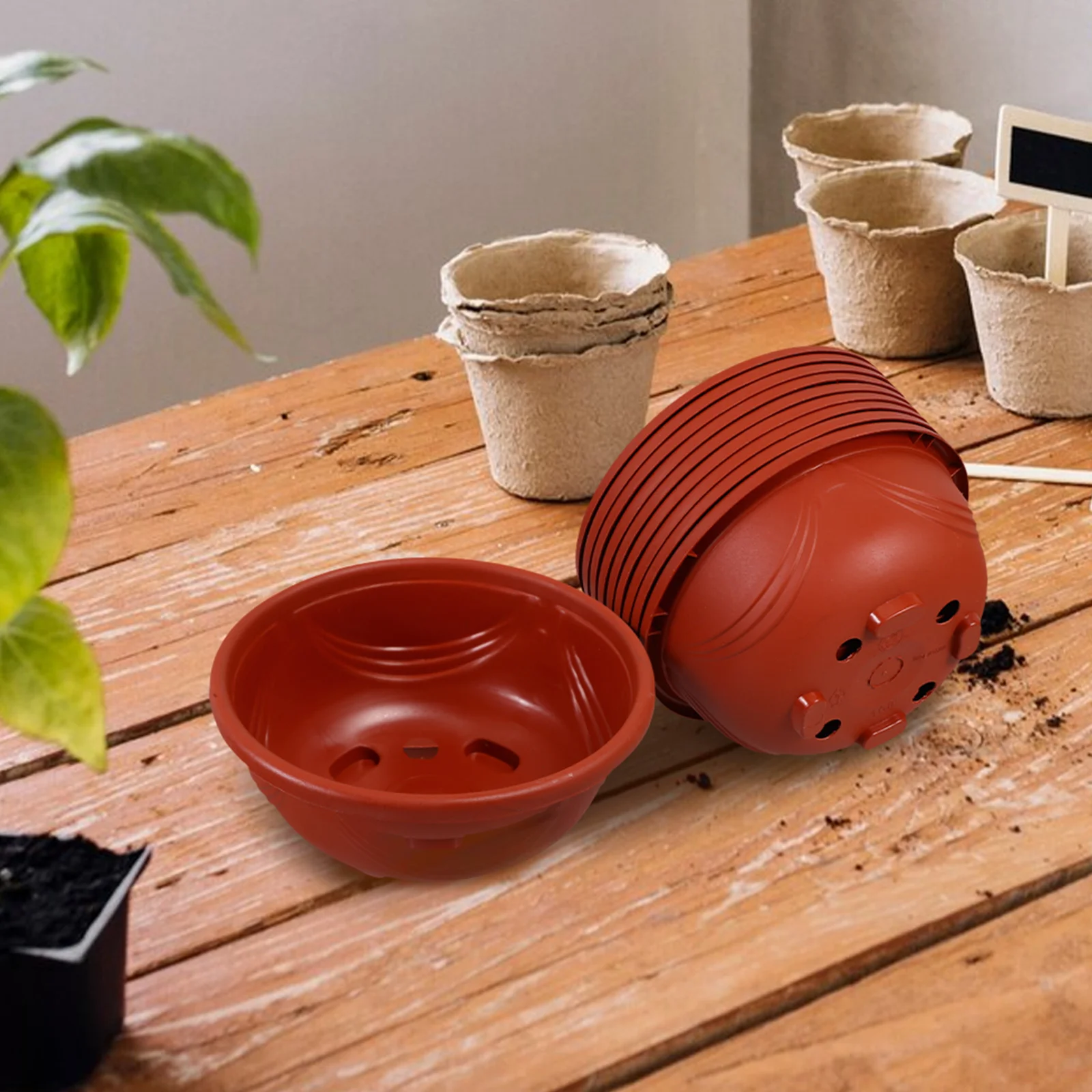 10 Pcs Flowerpot Pots Hanging Outdoor Indoor Planting Nursery Orchard Pp Decorative Planters for Plants
10 Pcs Flowerpot Pots Hanging Outdoor Indoor Planting Nursery Orchard Pp Decorative Planters for Plants