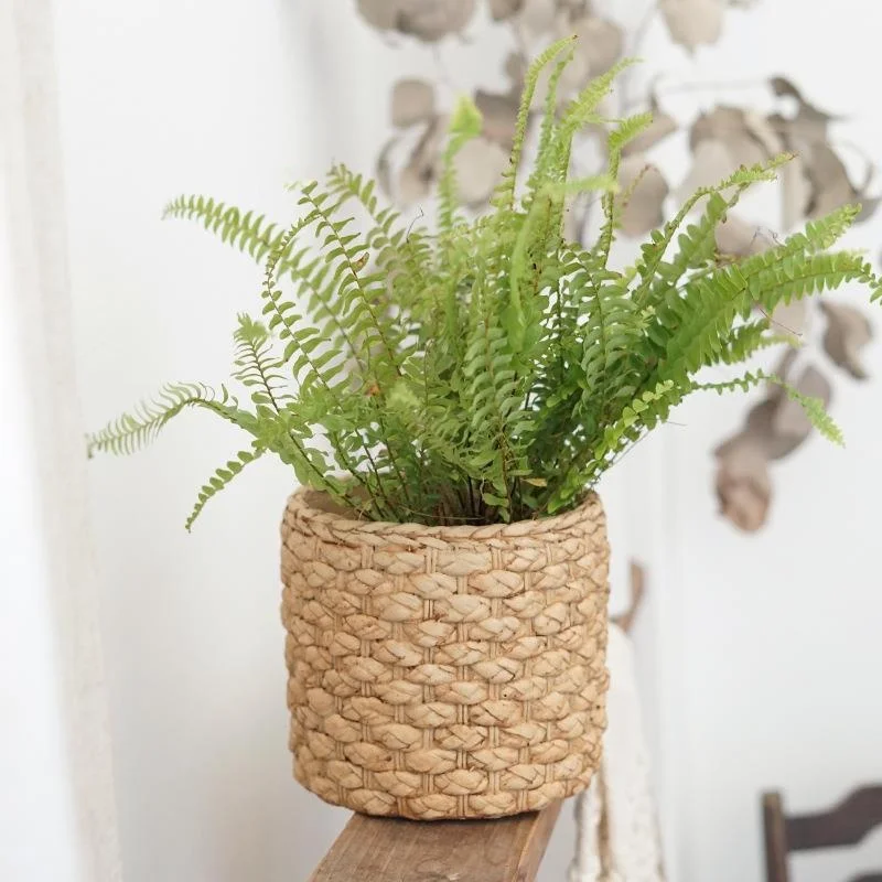 Nordic Woven Cement Plant Pots for Living Room Balcony Indoor Countryside Style Imitated Vine Creative Personalized Grass Wov...
Nordic Woven Cement Plant Pots for Living Room Balcony Indoor Countryside Style Imitated Vine Creative Personalized Grass Wov...