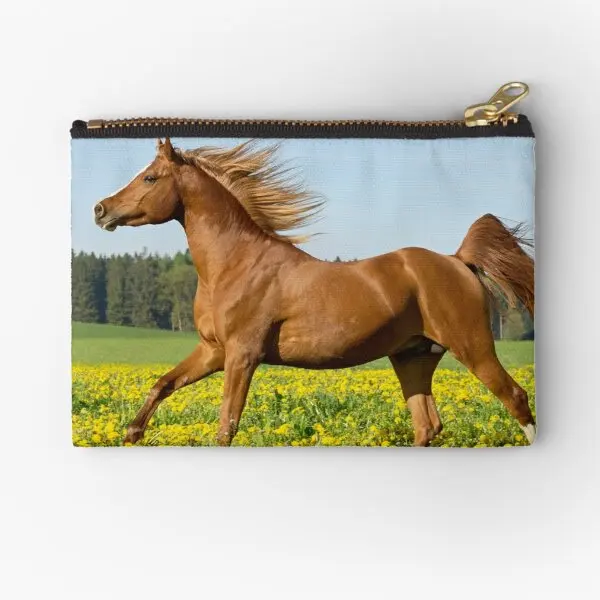 Мешочки на молнии с изображением арабской лошади, карманное нижнее белье, чистая косметика, Женская сумочка, мужской кошелек для ключей, маленькие монетные трусики, для денег
Мешочки на молнии с изображением арабской лошади, карманное нижнее белье, чистая косметика, Женская сумочка, мужской кошелек для ключей, маленькие монетные трусики, для денег