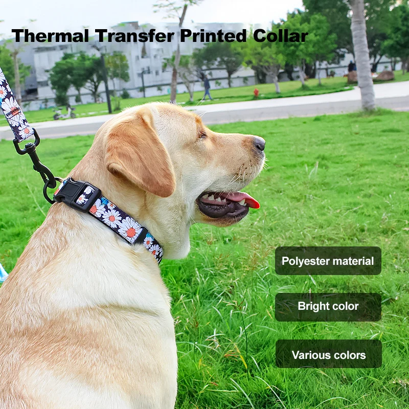 Dog Leash Dog Vest Chest Harness 5-Piece Printed Chest Harness Set Lightweight Anti-breakaway Dog Walking Vests
Dog Leash Dog Vest Chest Harness 5-Piece Printed Chest Harness Set Lightweight Anti-breakaway Dog Walking Vests