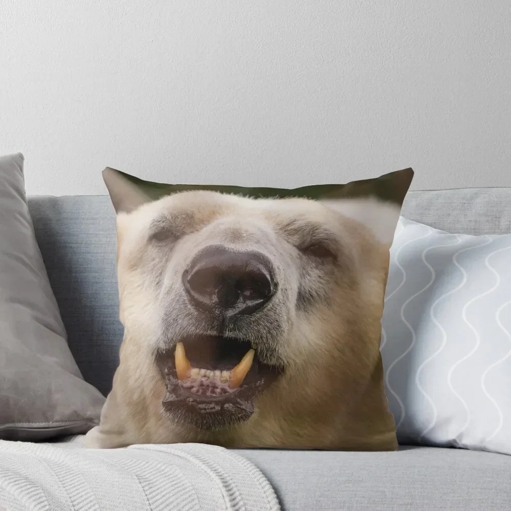 Polar Bear Throw Pillow Cushions pillow cover christmas Sofa Cushions Christmas Pillow Cases
Polar Bear Throw Pillow Cushions pillow cover christmas Sofa Cushions Christmas Pillow Cases