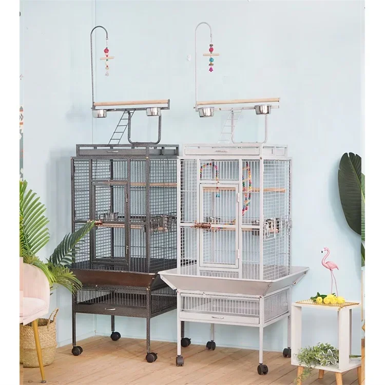 Comfortable White Seed Catcher Big Metal For Cages Vietnam Iny Aviary Decoration Wedding Extra Large Bird Cage
Comfortable White Seed Catcher Big Metal For Cages Vietnam Iny Aviary Decoration Wedding Extra Large Bird Cage