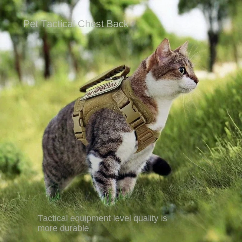 Pet Tactical Chest Back Cat Traction Rope Vest Style Adjustable Walking Cat Small Dog Traction Breathable And Comfortable
Pet Tactical Chest Back Cat Traction Rope Vest Style Adjustable Walking Cat Small Dog Traction Breathable And Comfortable