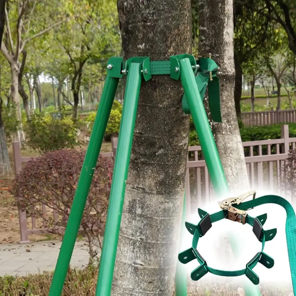 Регулируемая ветрозащитная опорная рама для деревьев, выдвижная скоба для уличных деревьев, светло-серый, высота 1,1 м
Регулируемая ветрозащитная опорная рама для деревьев, выдвижная скоба для уличных деревьев, светло-серый, высота 1,1 м