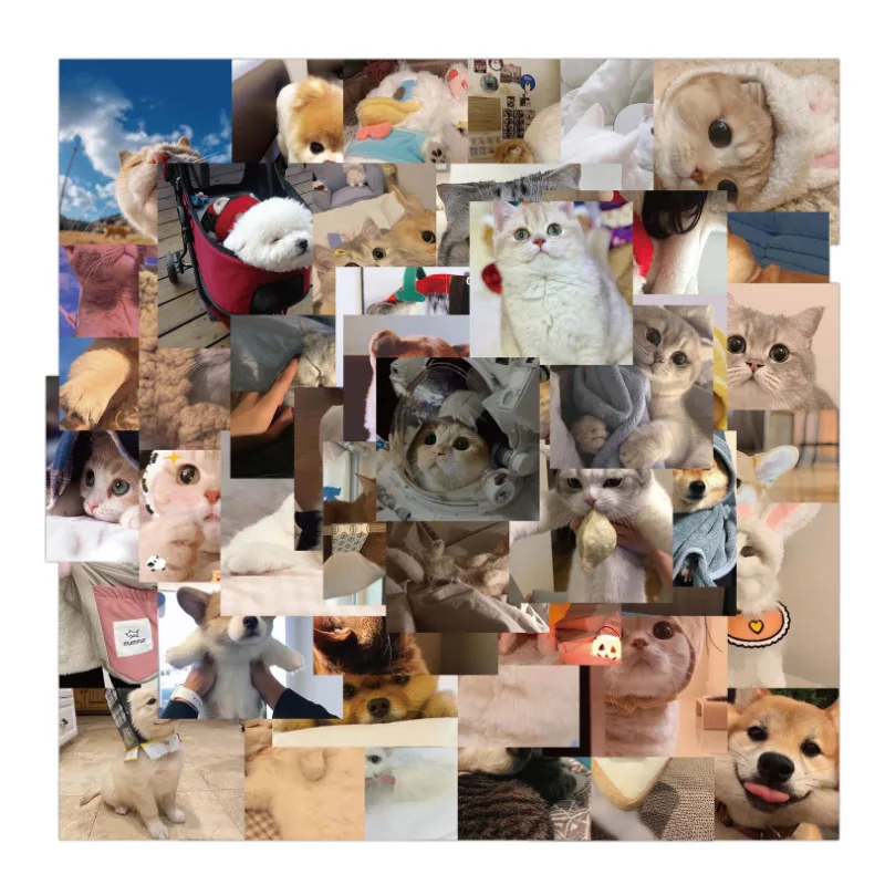 10/30/48pcs Cute Cats And Dogs Graffiti Family Pet Waterproof Skateboard Travel Suitcase Phone Laptop Luggage Stickers Kids
10/30/48pcs Cute Cats And Dogs Graffiti Family Pet Waterproof Skateboard Travel Suitcase Phone Laptop Luggage Stickers Kids