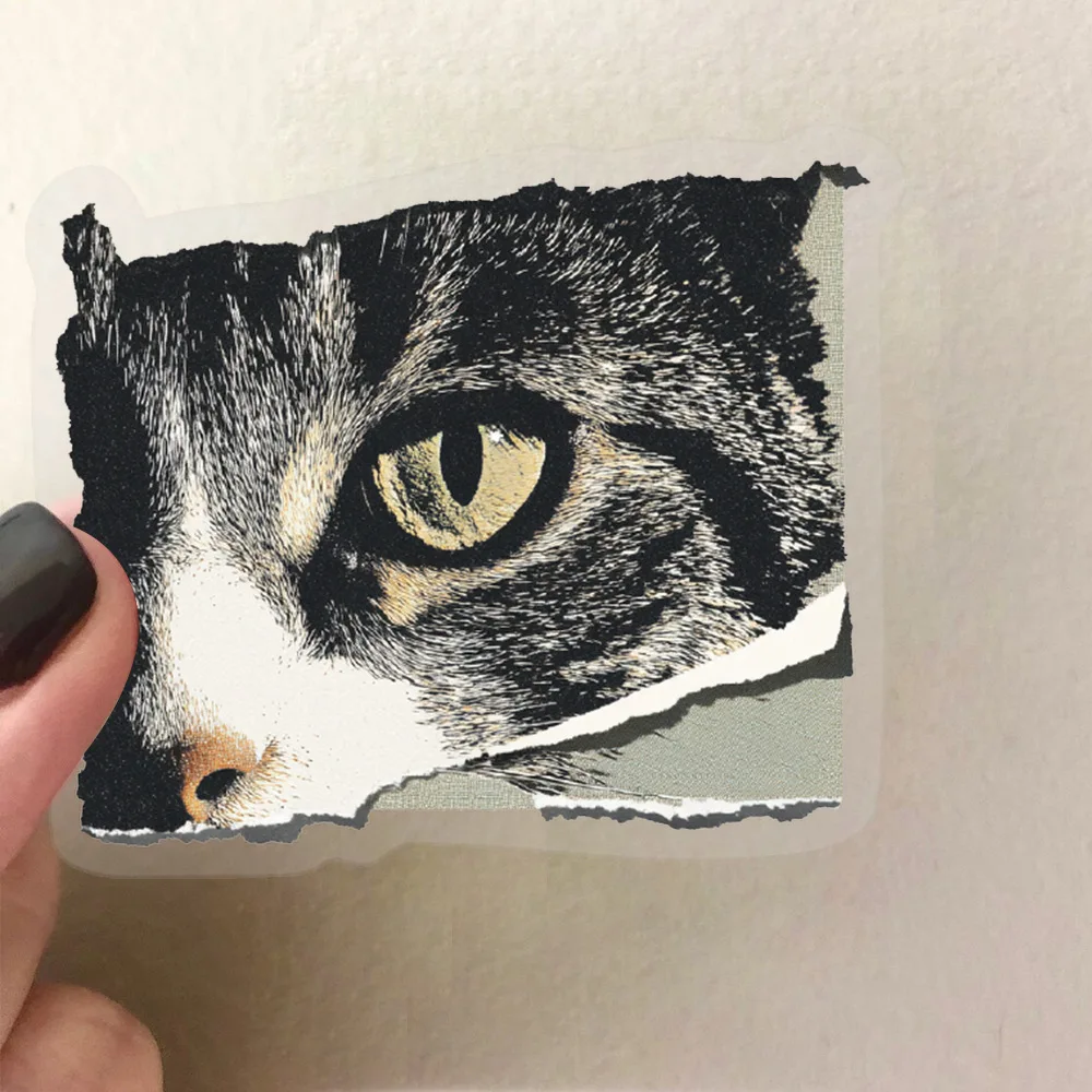 50PCS Transparent Cartoon Retro Torn Photo Sticker Creative Waterproof PET Decorative Guitar Notebook Mobile Phone Case Sticker
50PCS Transparent Cartoon Retro Torn Photo Sticker Creative Waterproof PET Decorative Guitar Notebook Mobile Phone Case Sticker