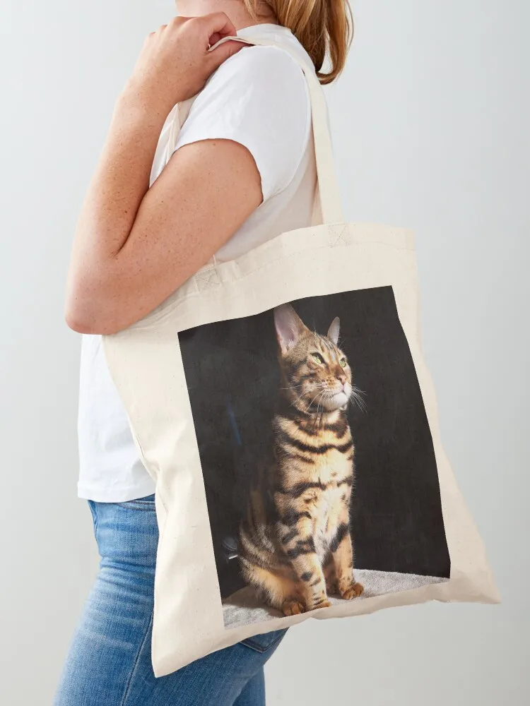 Bengal cat sitting proudly Tote Bag Candy bags Canvas shoulder bag custom fabric bag shopper bags
Bengal cat sitting proudly Tote Bag Candy bags Canvas shoulder bag custom fabric bag shopper bags