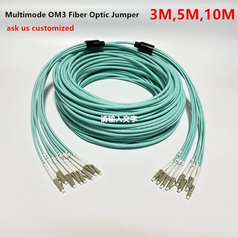 Multimode OM3 Fiber Optic Jumper LSZH Armored 6 Core MM Fiber Optic Jumper Anti-mouse Bite LC To SC-FC-ST,3m,5m,10m,customized
Multimode OM3 Fiber Optic Jumper LSZH Armored 6 Core MM Fiber Optic Jumper Anti-mouse Bite LC To SC-FC-ST,3m,5m,10m,customized