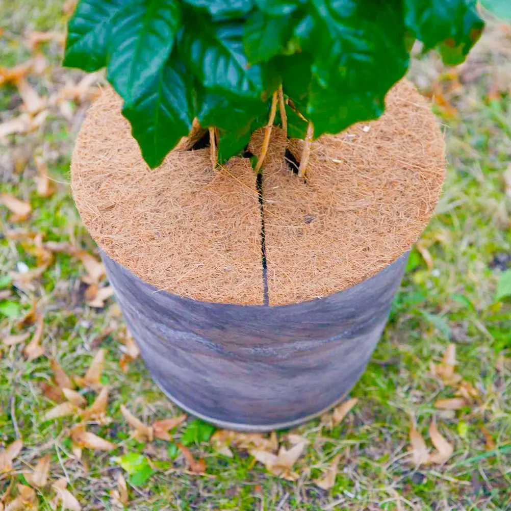 5pcs Flowerpot Spacers 30cm Round Coconut Coir Liners Mulch Tree Rings for Plants Durable Eco-Friendly Breathable Garden
5pcs Flowerpot Spacers 30cm Round Coconut Coir Liners Mulch Tree Rings for Plants Durable Eco-Friendly Breathable Garden