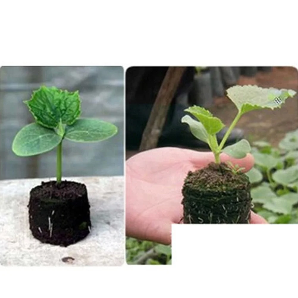 50Pcs 30Mm Peat Pellets Compressed Growing Pots for Efficient Root Development Suitable for Greenhouse Planting
50Pcs 30Mm Peat Pellets Compressed Growing Pots for Efficient Root Development Suitable for Greenhouse Planting