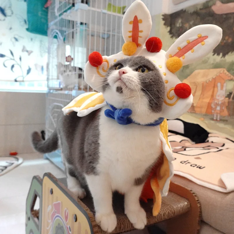 Cute Ancient Rabbit Cloak Cat Transform Rabbit Year Pet Clothing British Short American Short Cat Clothing Photo
Cute Ancient Rabbit Cloak Cat Transform Rabbit Year Pet Clothing British Short American Short Cat Clothing Photo