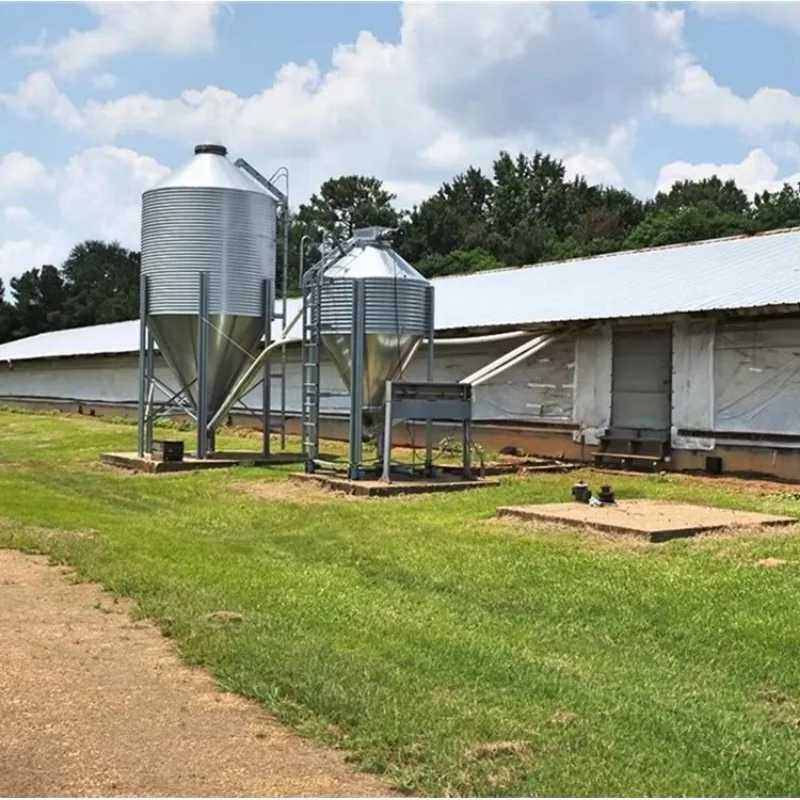 Easy Assembly Prefabricated Steel Structure Chicken Shed for Poultry Farm
Easy Assembly Prefabricated Steel Structure Chicken Shed for Poultry Farm