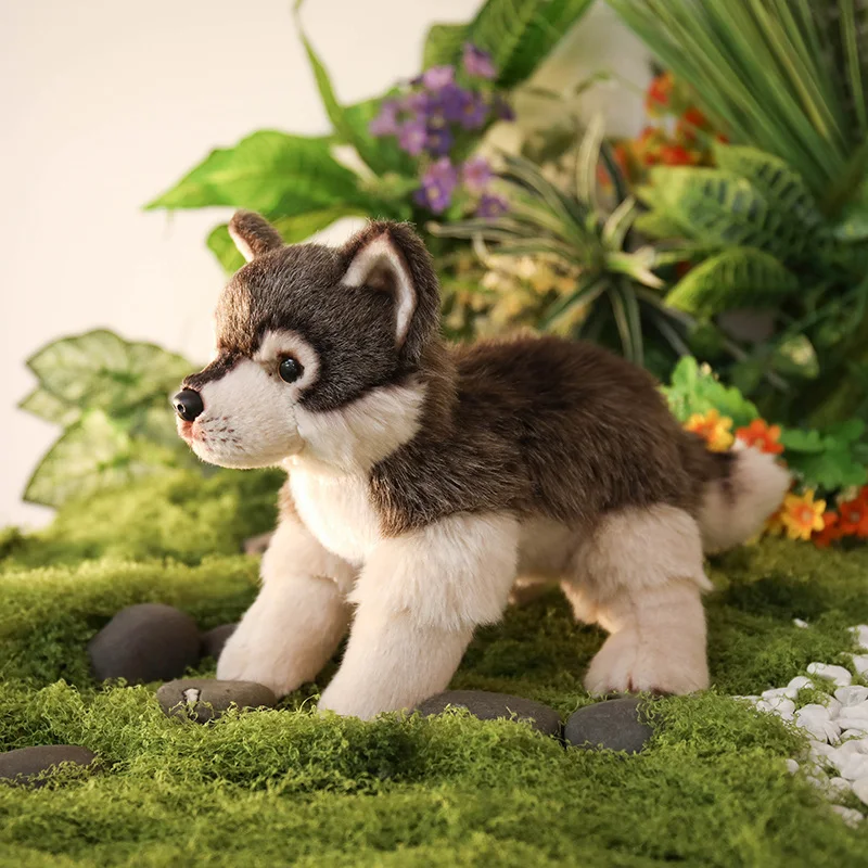 Realistic Simulation Jungle Wolf Plush Toy Stuffed Animal Cartoon Wolf Doll for Kids High Quality Xmas & Birthday Gift
Realistic Simulation Jungle Wolf Plush Toy Stuffed Animal Cartoon Wolf Doll for Kids High Quality Xmas & Birthday Gift
