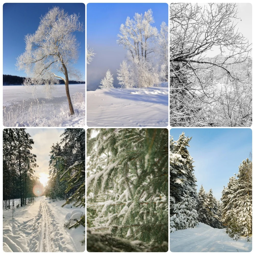 Winter Christmas Photography Backdrop Wonderland Mountain Forest Snow Decor Child Photocall Family Portrait Photo Background
Winter Christmas Photography Backdrop Wonderland Mountain Forest Snow Decor Child Photocall Family Portrait Photo Background