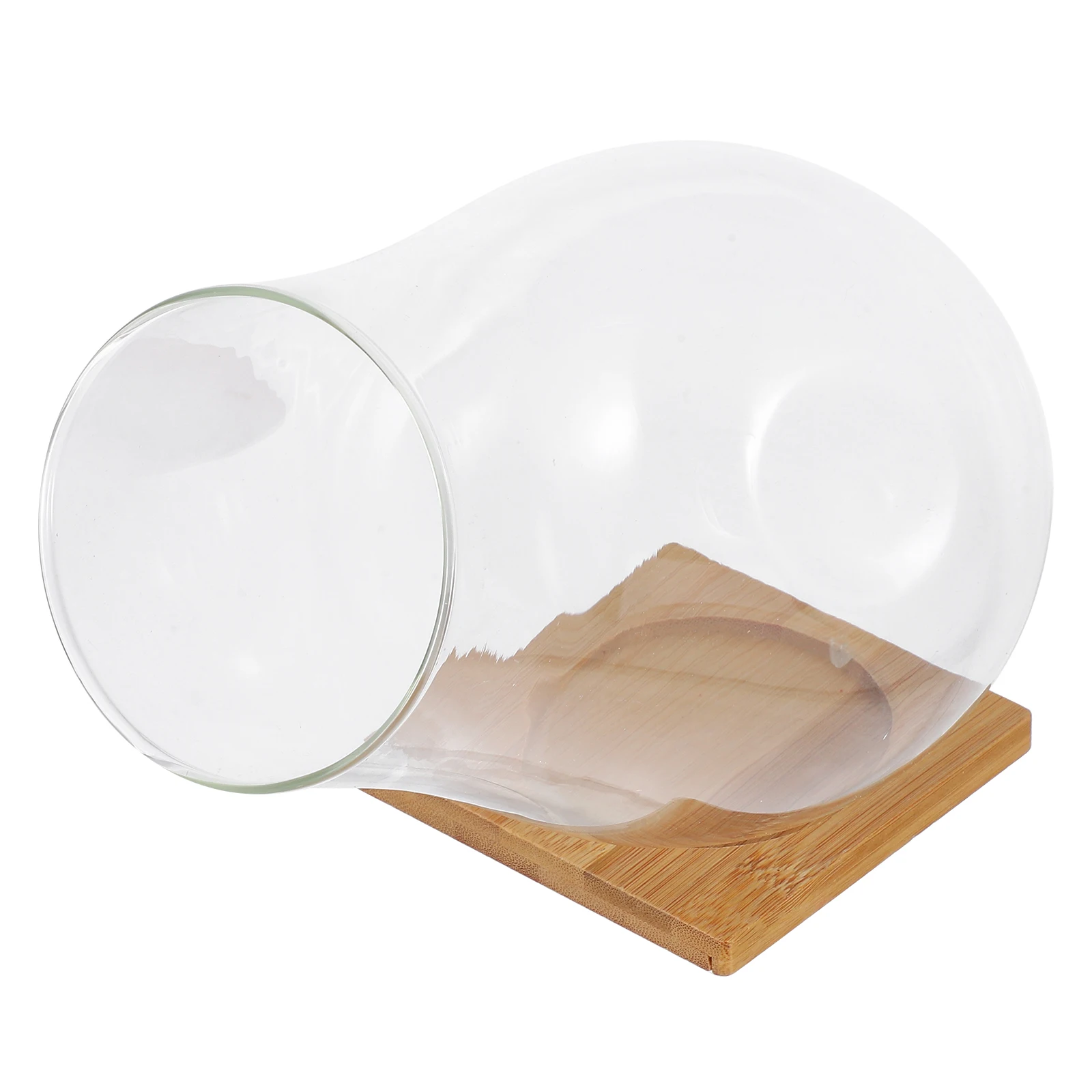 Plant Glass Container Set Clear Visibility Decorative Terrarium Bowl Bamboo Tray Succulent Planter Moss Bottle Indoor Vase Home
Plant Glass Container Set Clear Visibility Decorative Terrarium Bowl Bamboo Tray Succulent Planter Moss Bottle Indoor Vase Home
