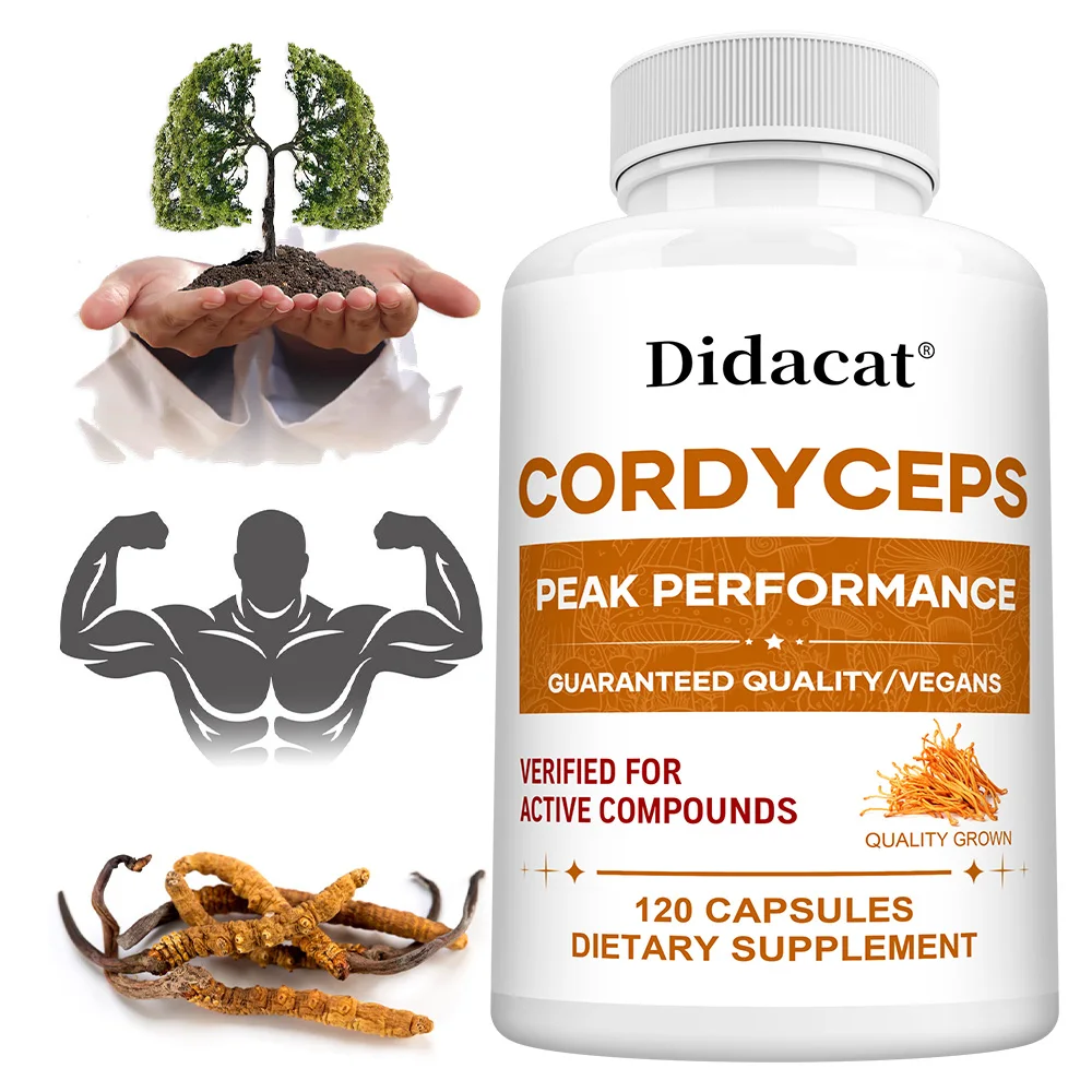 Экстракт гриба кордицепса — пополняет энергию и выносливость, поддерживает здоровье печени, повышает память и концентрацию
Экстракт гриба кордицепса — пополняет энергию и выносливость, поддерживает здоровье печени, повышает память и концентрацию