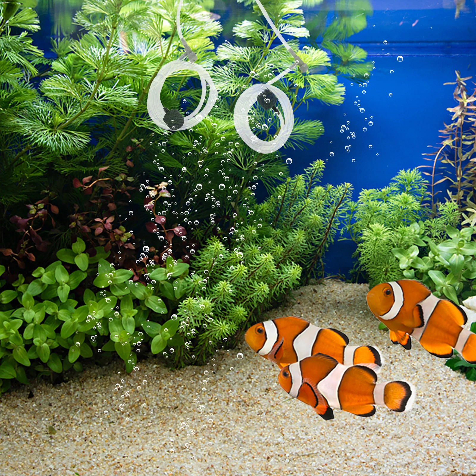 Oxygen Pump Aquarium Usb Air for Aquariums Fish Tank Pumps Aerator Copper Fishtank Mini
Oxygen Pump Aquarium Usb Air for Aquariums Fish Tank Pumps Aerator Copper Fishtank Mini