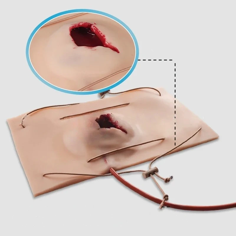 Large Gun Wound Model, Hemostasis Control Training Medical Teaching Model, Trauma Simulation Training
Large Gun Wound Model, Hemostasis Control Training Medical Teaching Model, Trauma Simulation Training