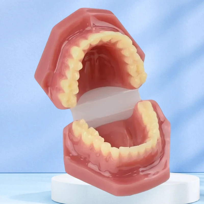 Новая стоматологическая модель из смолы, нормальная стоматология для взрослых, медицинская стоматологическая практика, обучение, инструменты для обучения зубов
Новая стоматологическая модель из смолы, нормальная стоматология для взрослых, медицинская стоматологическая практика, обучение, инструменты для обучения зубов