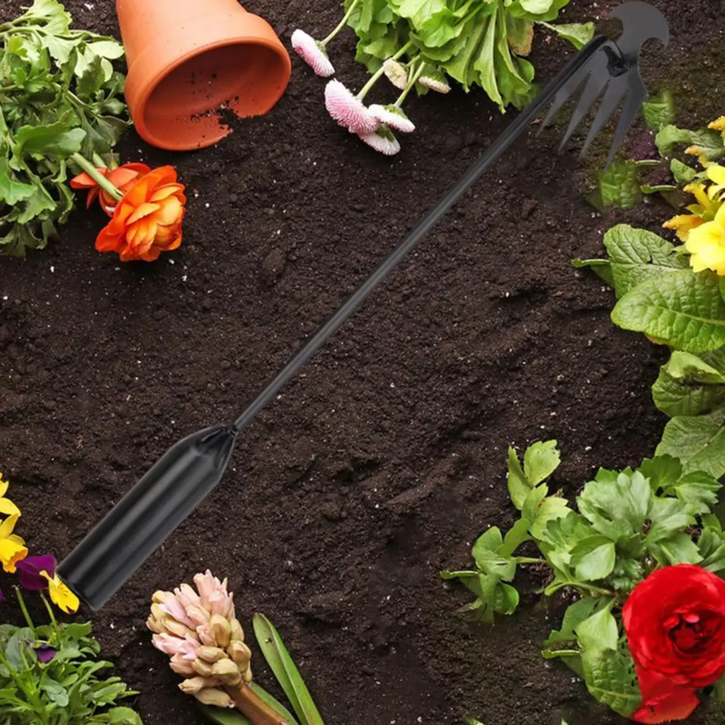 Manual Weeder Gardening Tool Multifunctional Weeder for Garden Bonsai Lawn
Manual Weeder Gardening Tool Multifunctional Weeder for Garden Bonsai Lawn