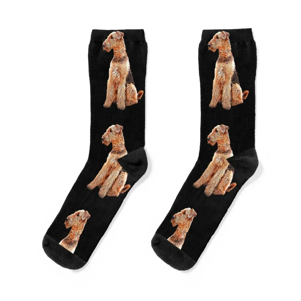 Airedale Terrier Cute Dog Socks football basketball gifts Stockings Women's Socks Men's ankle loose man Socks Woman Men's
Airedale Terrier Cute Dog Socks football basketball gifts Stockings Women's Socks Men's ankle loose man Socks Woman Men's