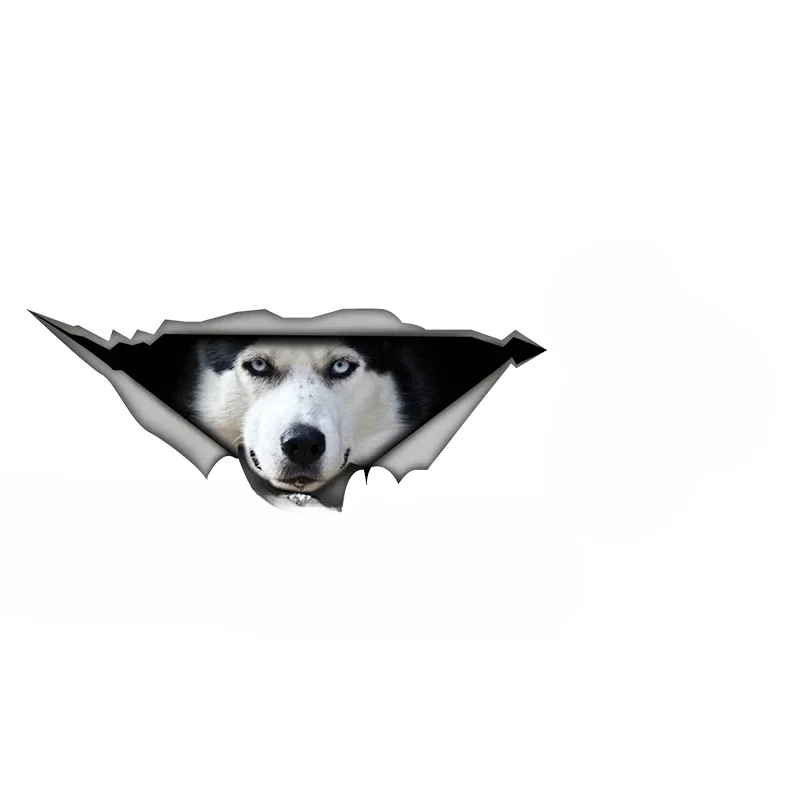 Car Sticker Husky Head Dog Pet Animal Self-adhesive Decal Waterproof Auto Decors on Bumper Rear Window Laptop
Car Sticker Husky Head Dog Pet Animal Self-adhesive Decal Waterproof Auto Decors on Bumper Rear Window Laptop