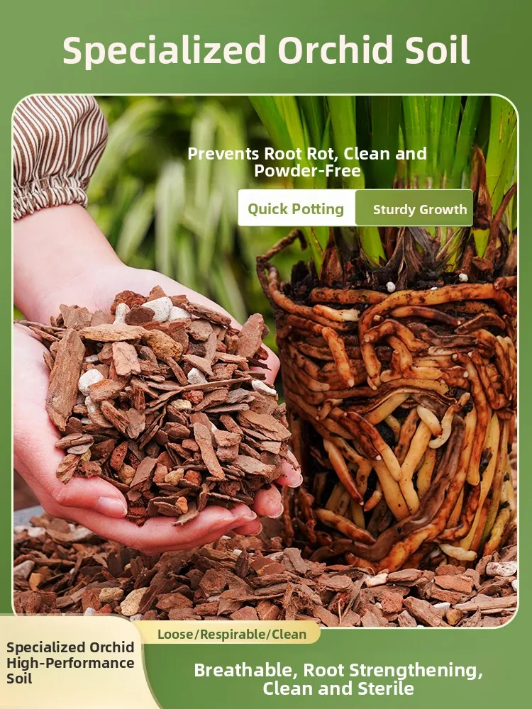 Orchid wing Soil Nutritious Pteros Dendrobium for Butterflies Orchid Cultivation Pine Bark Substrate
Orchid wing Soil Nutritious Pteros Dendrobium for Butterflies Orchid Cultivation Pine Bark Substrate