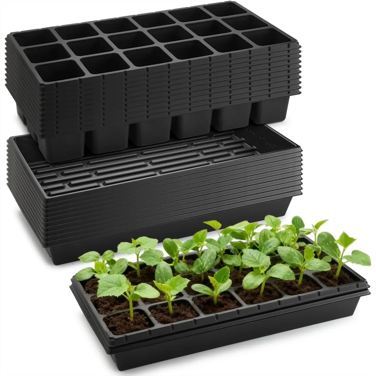 3 Inch Square Pots 18 Cell Seedling Trays with 1020 Trays No Holes for Seeds Starting and Transplanting, 10 Sets
3 Inch Square Pots 18 Cell Seedling Trays with 1020 Trays No Holes for Seeds Starting and Transplanting, 10 Sets
