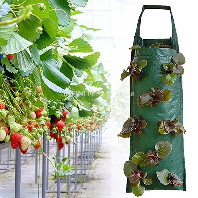 4/6/8/10 Holes Hanging Strawberry Planting Bag Vertical Garden Flower Growing Bag Flower Vegetable Planter Indoor Outdoor Decor
4/6/8/10 Holes Hanging Strawberry Planting Bag Vertical Garden Flower Growing Bag Flower Vegetable Planter Indoor Outdoor Decor
