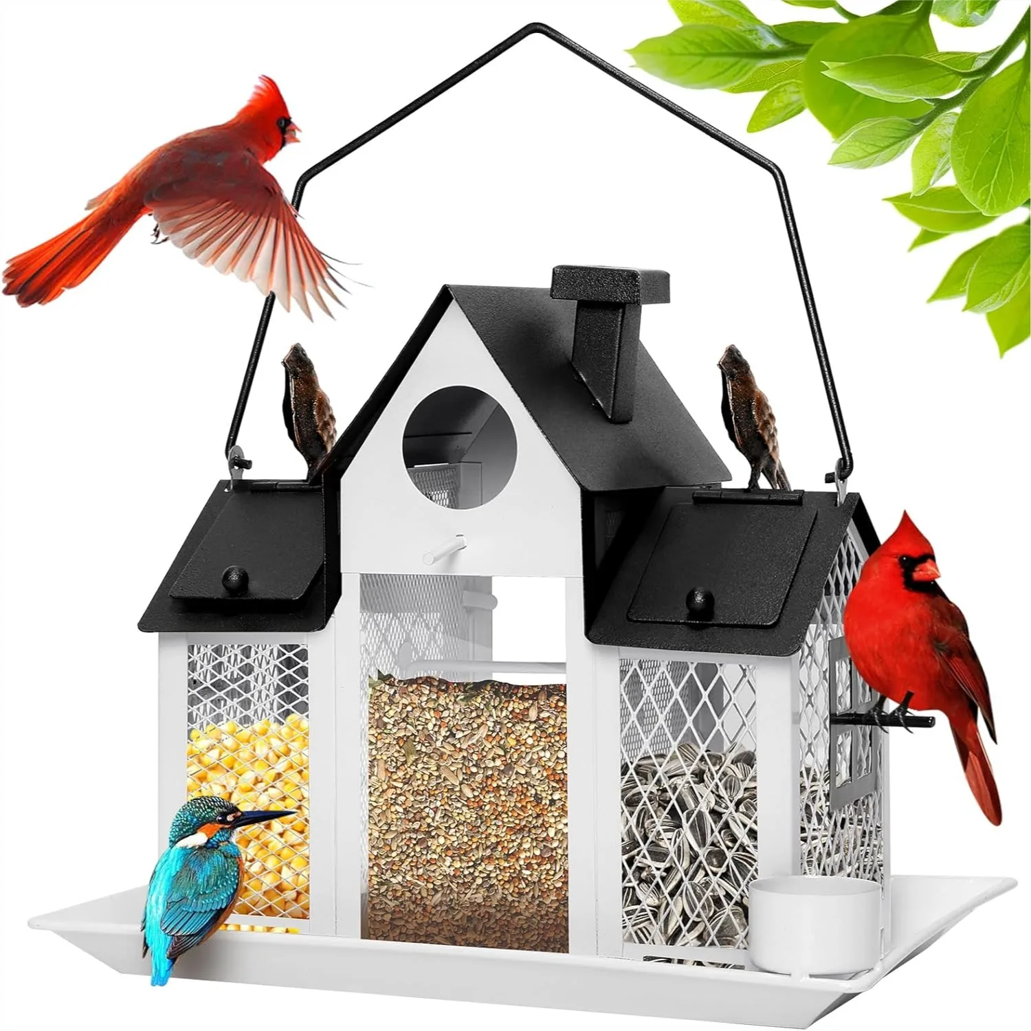 Solar Bird Feeders House for Outdoors Hanging, 7LBS Large Capacity Metal Wild Bird Feeder Squirrel Proof with Water Cup
Solar Bird Feeders House for Outdoors Hanging, 7LBS Large Capacity Metal Wild Bird Feeder Squirrel Proof with Water Cup