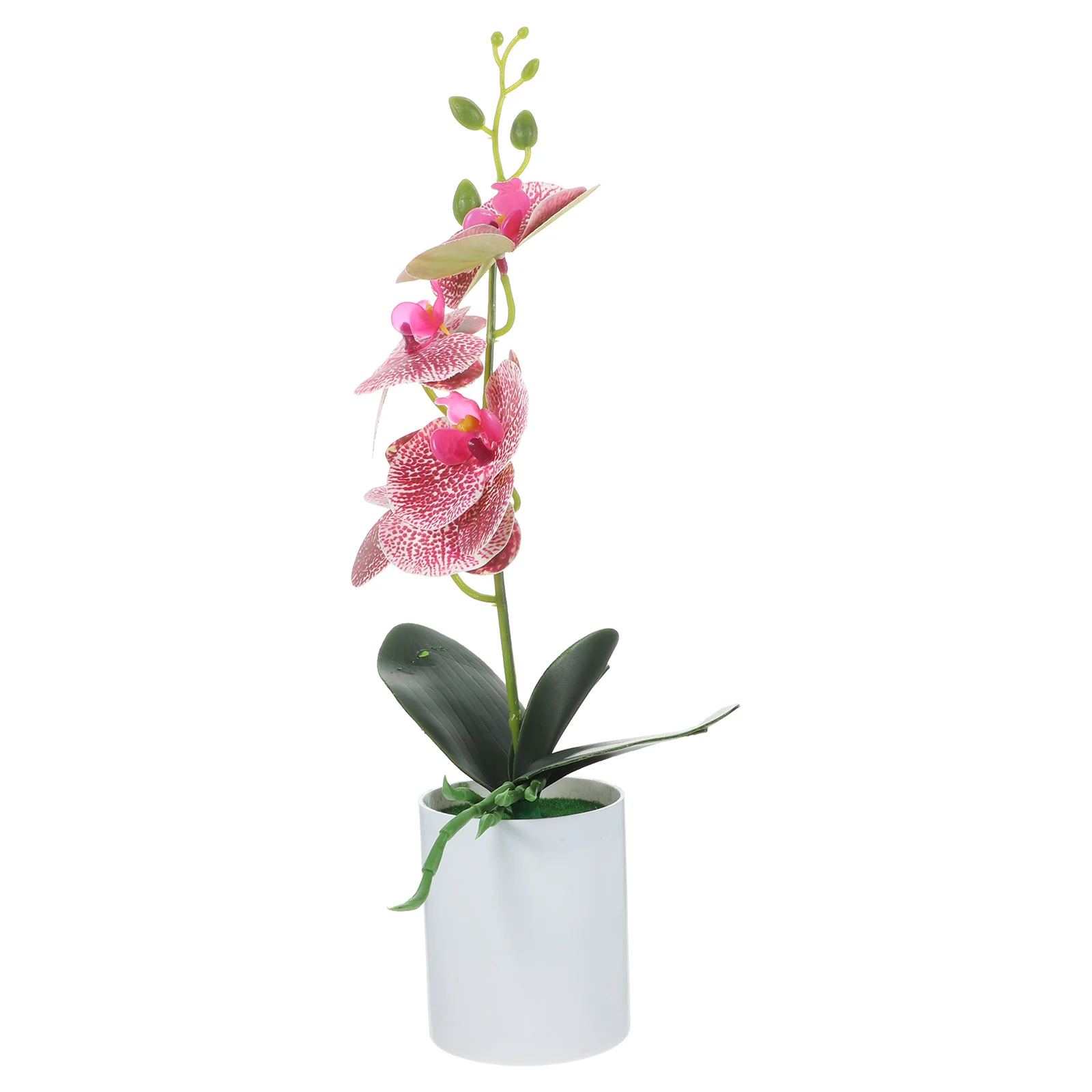 Artificial Potted chid Plants Realistic Plastic Flowers for Tabletop Garden Decor Nursery Photo Props Baby Growth Milestone
Artificial Potted chid Plants Realistic Plastic Flowers for Tabletop Garden Decor Nursery Photo Props Baby Growth Milestone