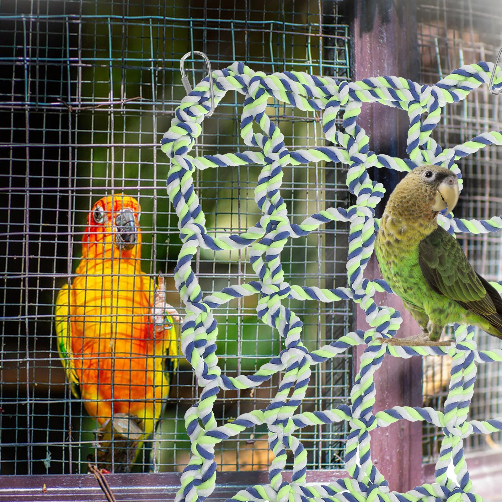 Colorful Climbing Net for Hamster Rat Ferret Parrot 4 Metal Buckles Cotton Rope Hammock Environmentally Friendly Animal Activity
Colorful Climbing Net for Hamster Rat Ferret Parrot 4 Metal Buckles Cotton Rope Hammock Environmentally Friendly Animal Activity