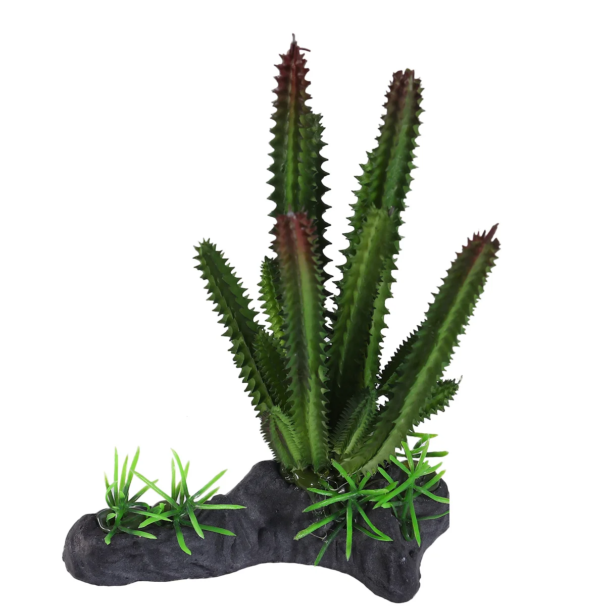 Aquarium Decorative Resin Simulation Cactus Plant Lifelike Fish Tank Ornament Artificial Aquarium Plants Fish Tank Decoration 
Aquarium Decorative Resin Simulation Cactus Plant Lifelike Fish Tank Ornament Artificial Aquarium Plants Fish Tank Decoration
