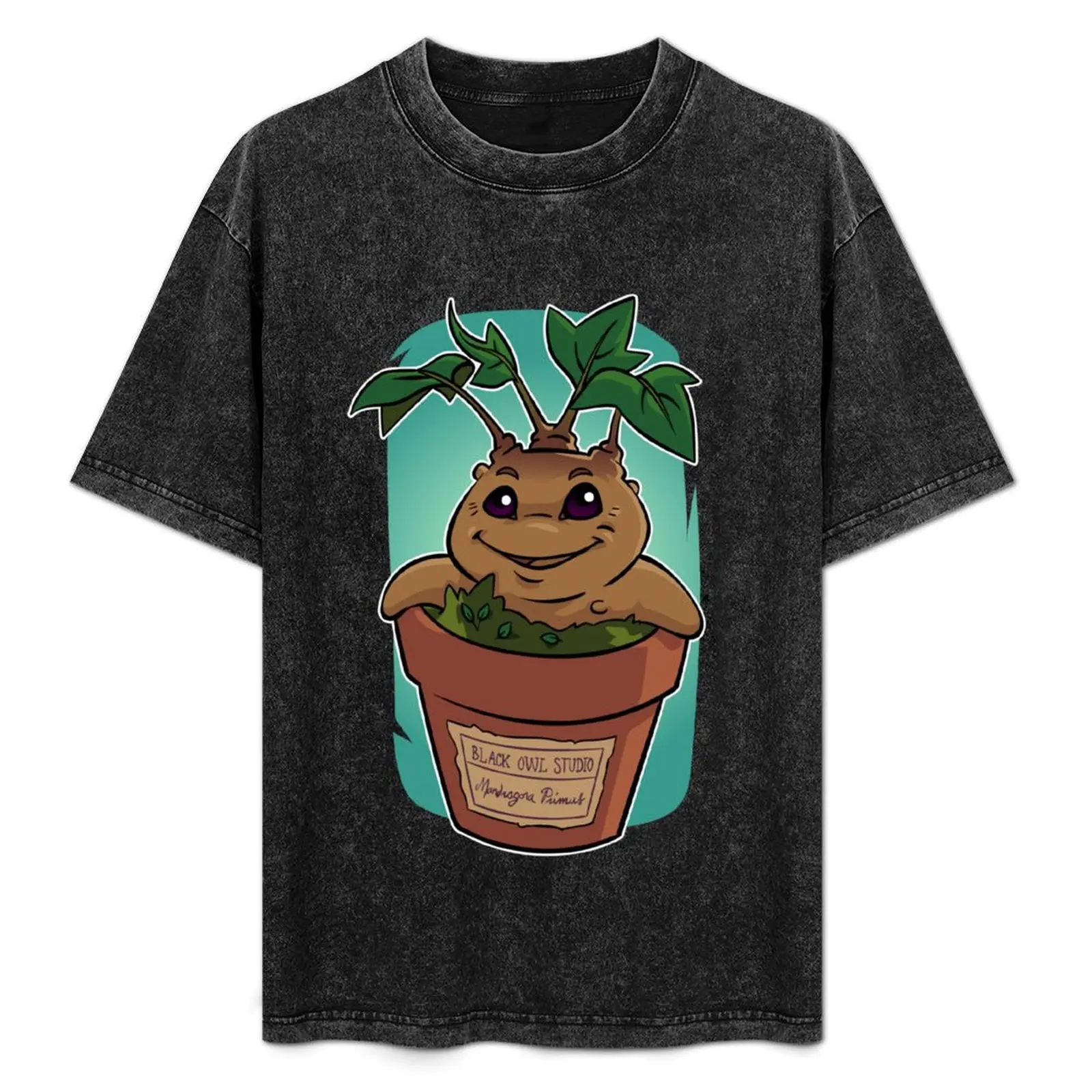 Mandragora Primus T-Shirt Holiday Lightweight T-Shirt
Mandragora Primus T-Shirt Holiday Lightweight T-Shirt