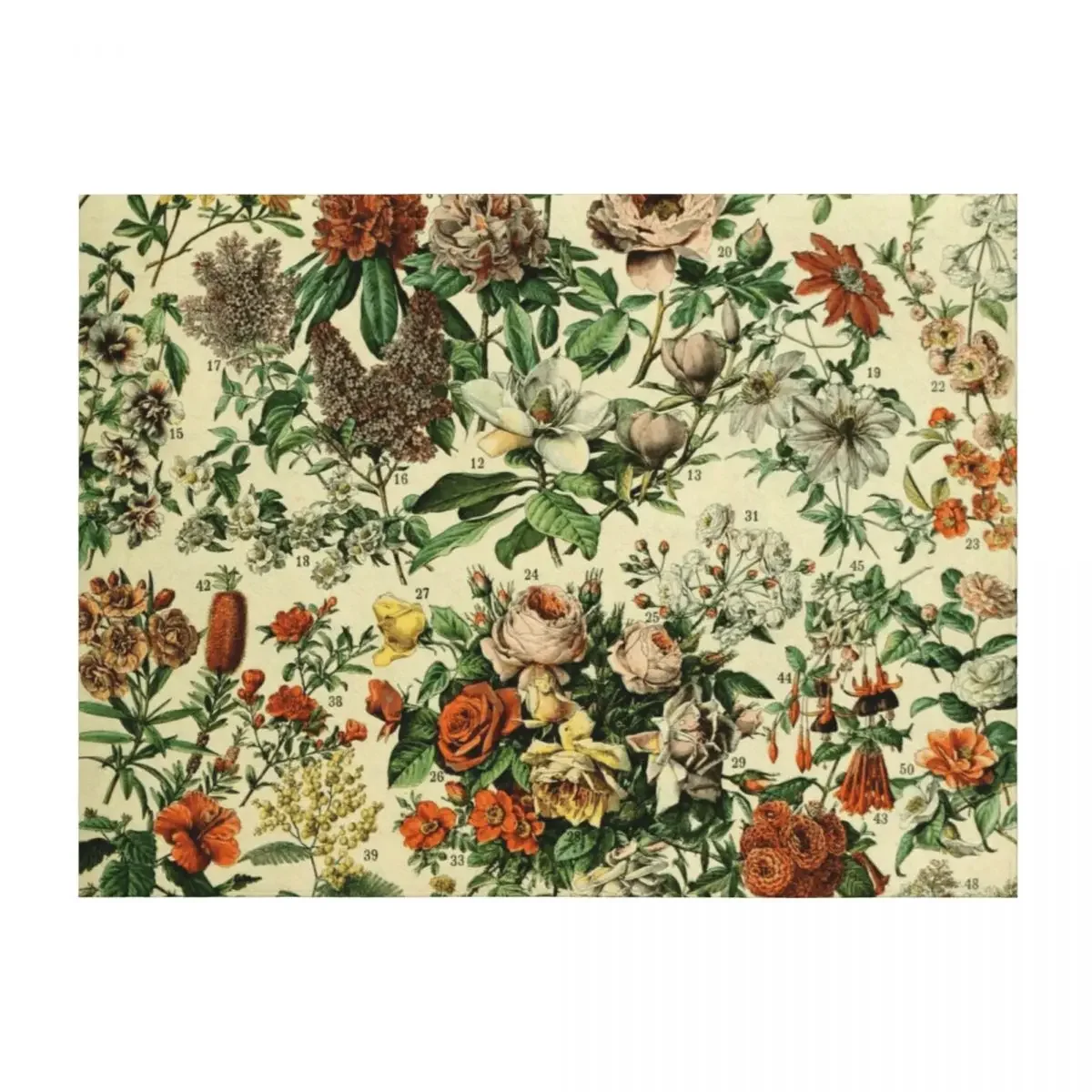 Adolphe Millot Fleurs Vintage Flowers Throw Blanket Bed Fashionable Soft Plaid Thin Bed Blankets
Adolphe Millot Fleurs Vintage Flowers Throw Blanket Bed Fashionable Soft Plaid Thin Bed Blankets