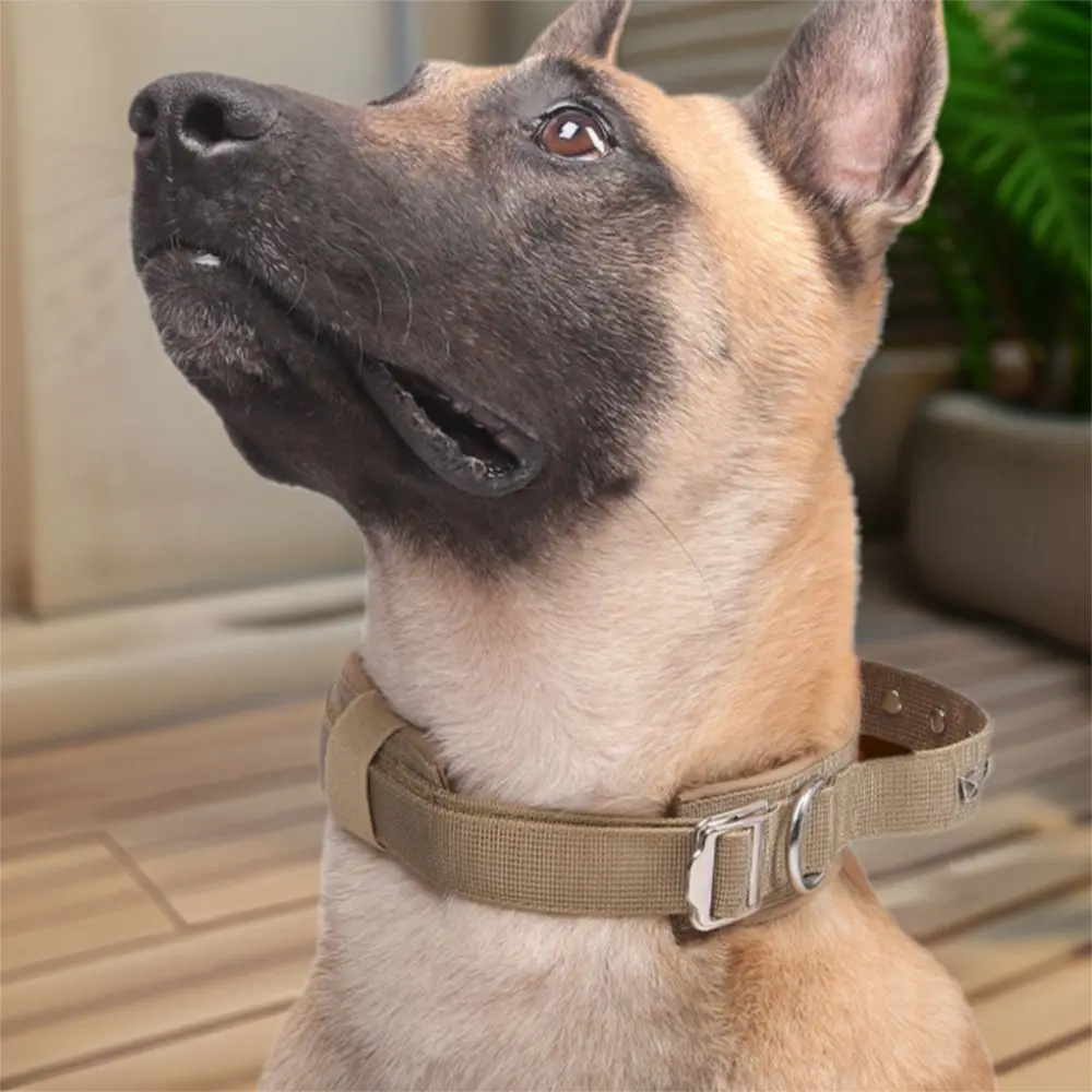Durable Adjustable Dog Training Collar Metal Buckle Heavy Duty Dog Rivet Collar Breathable Dog Neck Collar Working Dog
Durable Adjustable Dog Training Collar Metal Buckle Heavy Duty Dog Rivet Collar Breathable Dog Neck Collar Working Dog