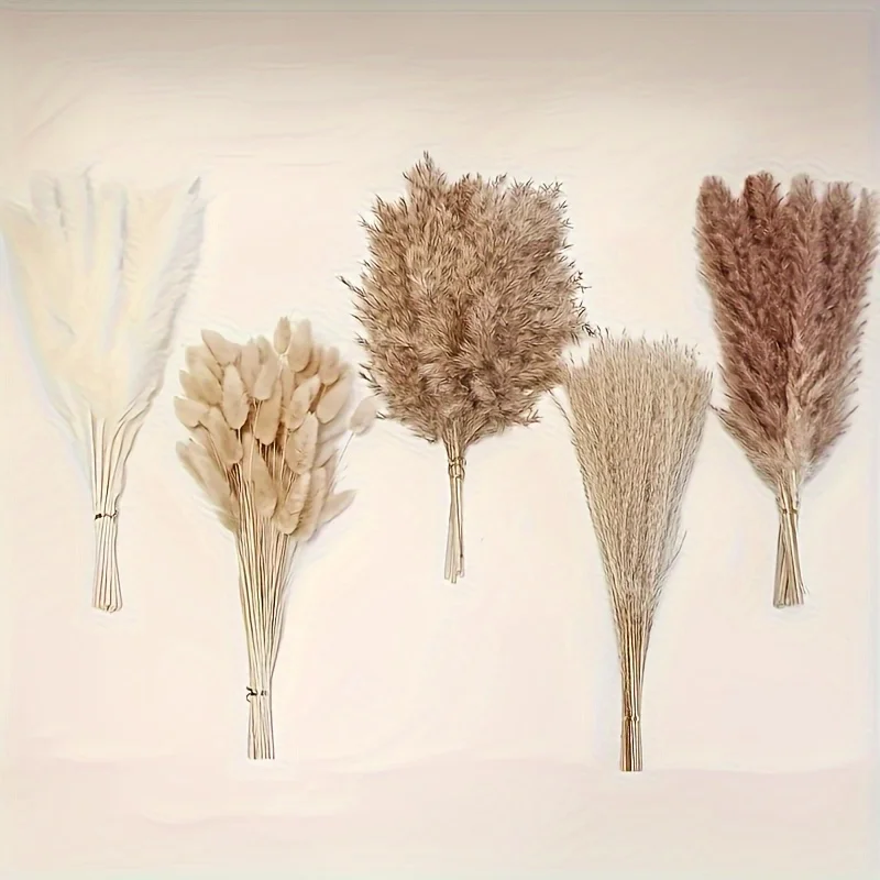102pcs Dried Flowers Pampas Bunny Rabbit Tail Bouquet Boho Home Rrom Vase Decoration Artificial Flower Pampa Wedding Party Decor
102pcs Dried Flowers Pampas Bunny Rabbit Tail Bouquet Boho Home Rrom Vase Decoration Artificial Flower Pampa Wedding Party Decor