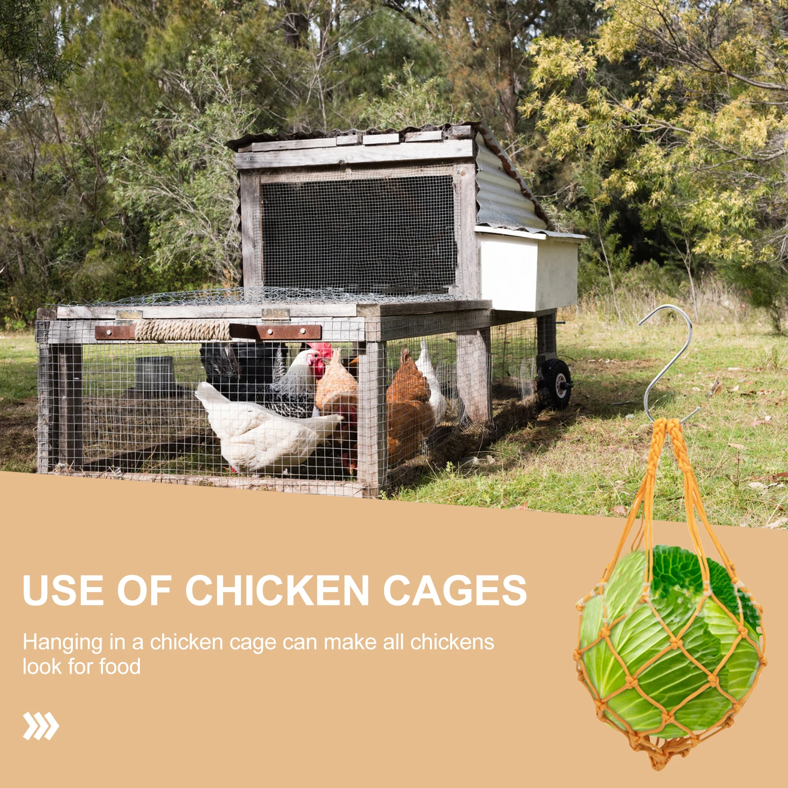 Hanging Chicken Foraging Basket Strong Mesh Net Bag for Safe Healthy Food Dispenser Ideal for Cabbage Leaf Storage Chicken
Hanging Chicken Foraging Basket Strong Mesh Net Bag for Safe Healthy Food Dispenser Ideal for Cabbage Leaf Storage Chicken