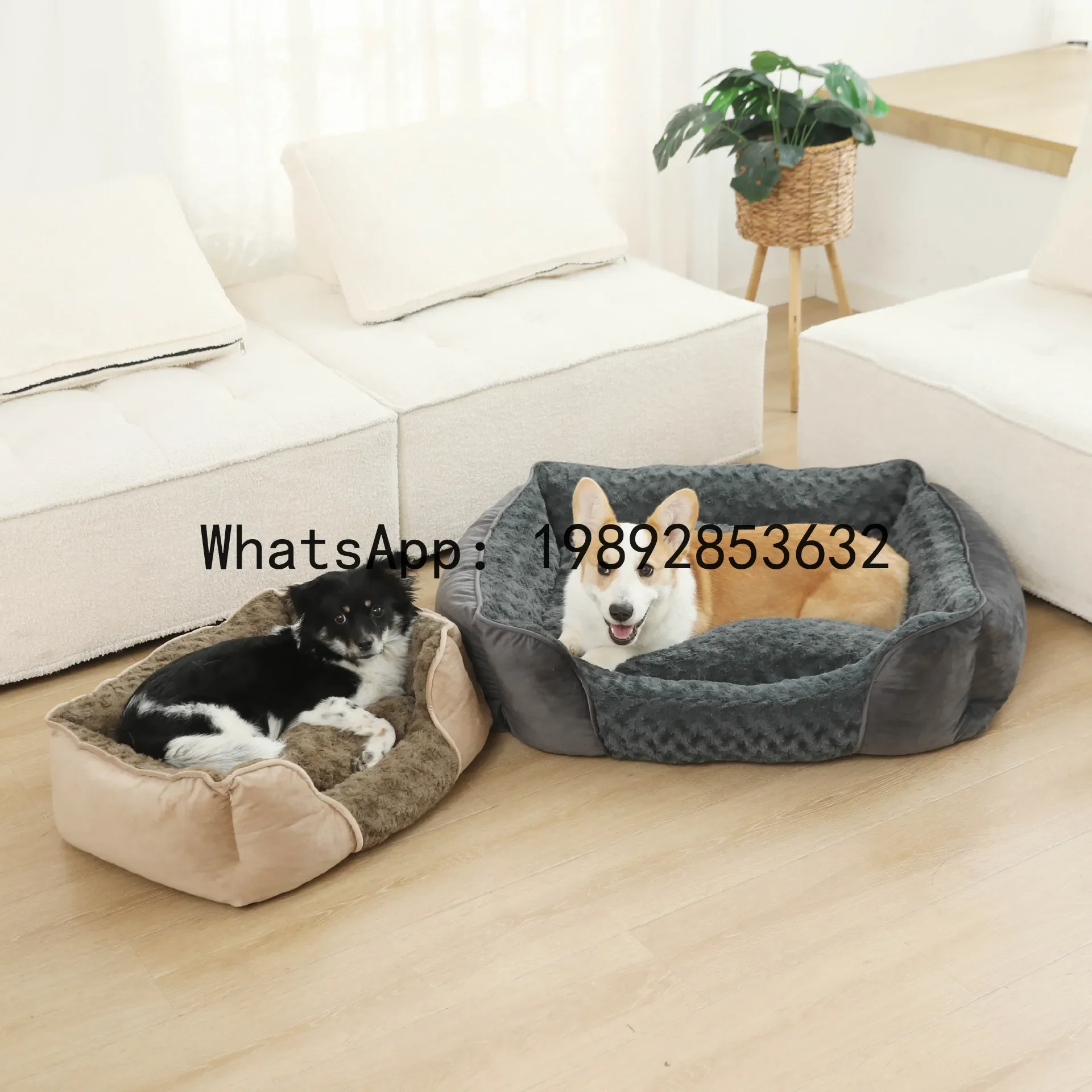 X cat house semi-enclosed dog kennel all-season pet supplies
X cat house semi-enclosed dog kennel all-season pet supplies