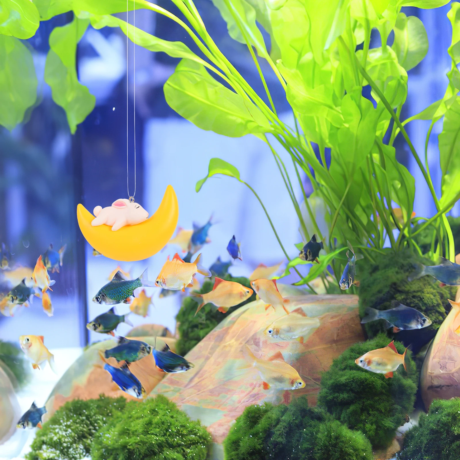 3 Pcs Baby Fish Tank Figurine Cartoon Decoration Soft Rubber Aquarium Decorations
3 Pcs Baby Fish Tank Figurine Cartoon Decoration Soft Rubber Aquarium Decorations