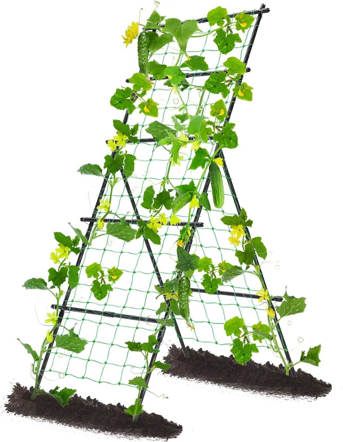 Cucumber Trellis A Frame Garden Trellis, Vertical Plant Support with Netting for Raised Bed Backyard Gardening, PE Coate
Cucumber Trellis A Frame Garden Trellis, Vertical Plant Support with Netting for Raised Bed Backyard Gardening, PE Coate