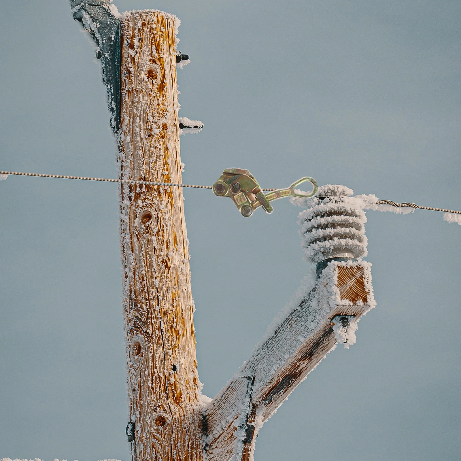 Wire Grip Cable Clamp Copper Alloy Special Heat Treatment Anti Skid Safety Device Wire Rope Pulling Tool Cable Grip
Wire Grip Cable Clamp Copper Alloy Special Heat Treatment Anti Skid Safety Device Wire Rope Pulling Tool Cable Grip