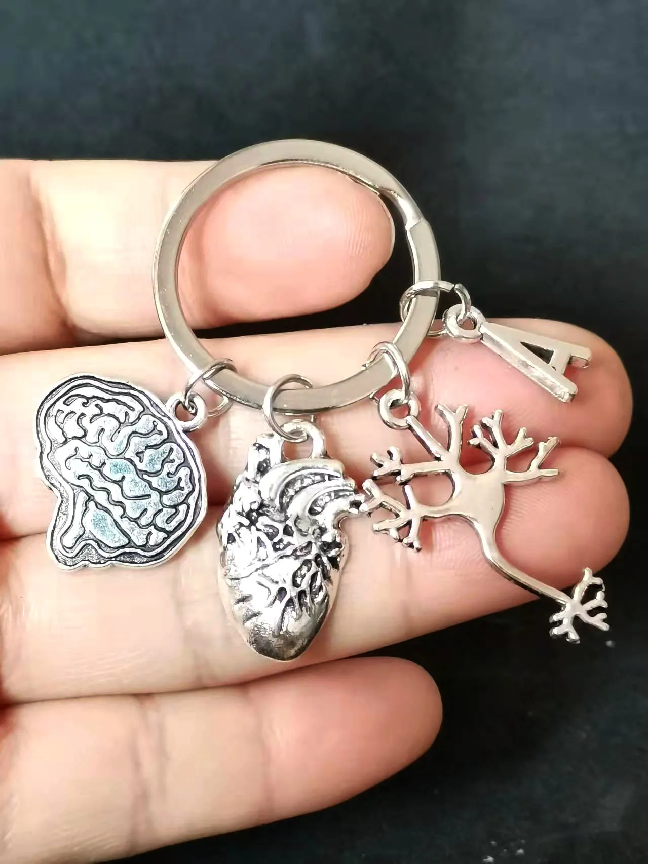 1 Piece Keychain Medical Anatomy Key Brain Heart Nerve Cell Shaped Keychain Doctor And Nurse Bag Chain Jewelry Gift
1 Piece Keychain Medical Anatomy Key Brain Heart Nerve Cell Shaped Keychain Doctor And Nurse Bag Chain Jewelry Gift