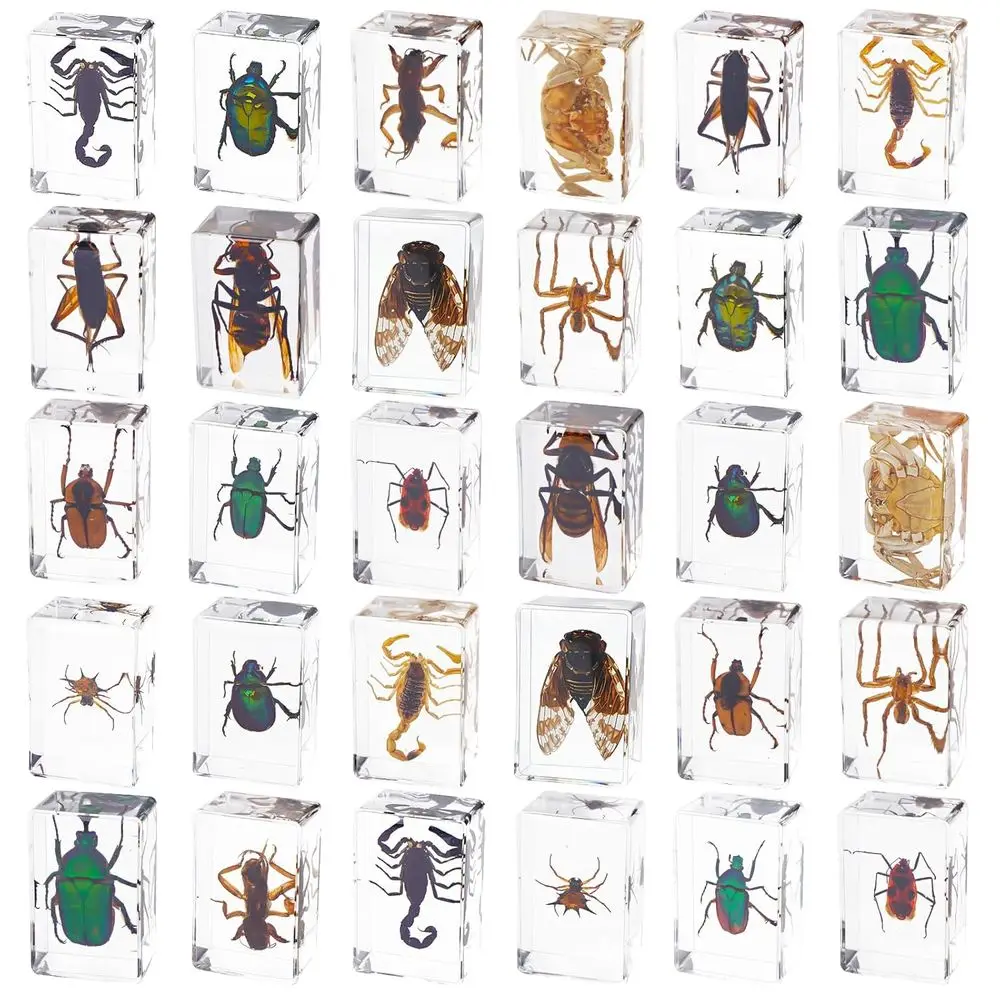 Resin-Preserved Insect Collection, 30 Pieces, Educational Paperweights for Kids & Science Enthusiasts
Resin-Preserved Insect Collection, 30 Pieces, Educational Paperweights for Kids & Science Enthusiasts