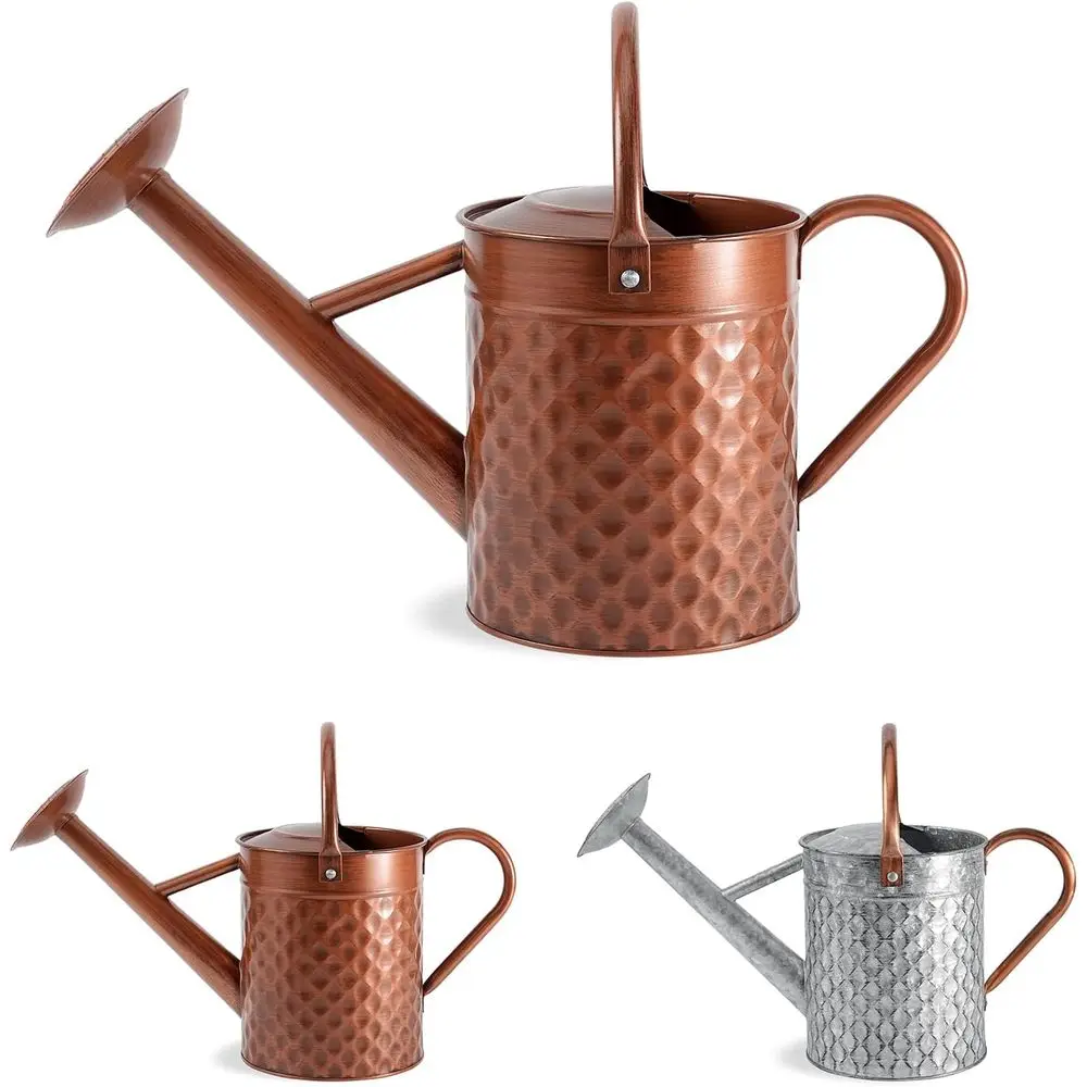 Copper-Tone 1-Gallon Metal Watering Can with Detachable Spray Nozzle for Indoor and Outdoor Plant Care
Copper-Tone 1-Gallon Metal Watering Can with Detachable Spray Nozzle for Indoor and Outdoor Plant Care