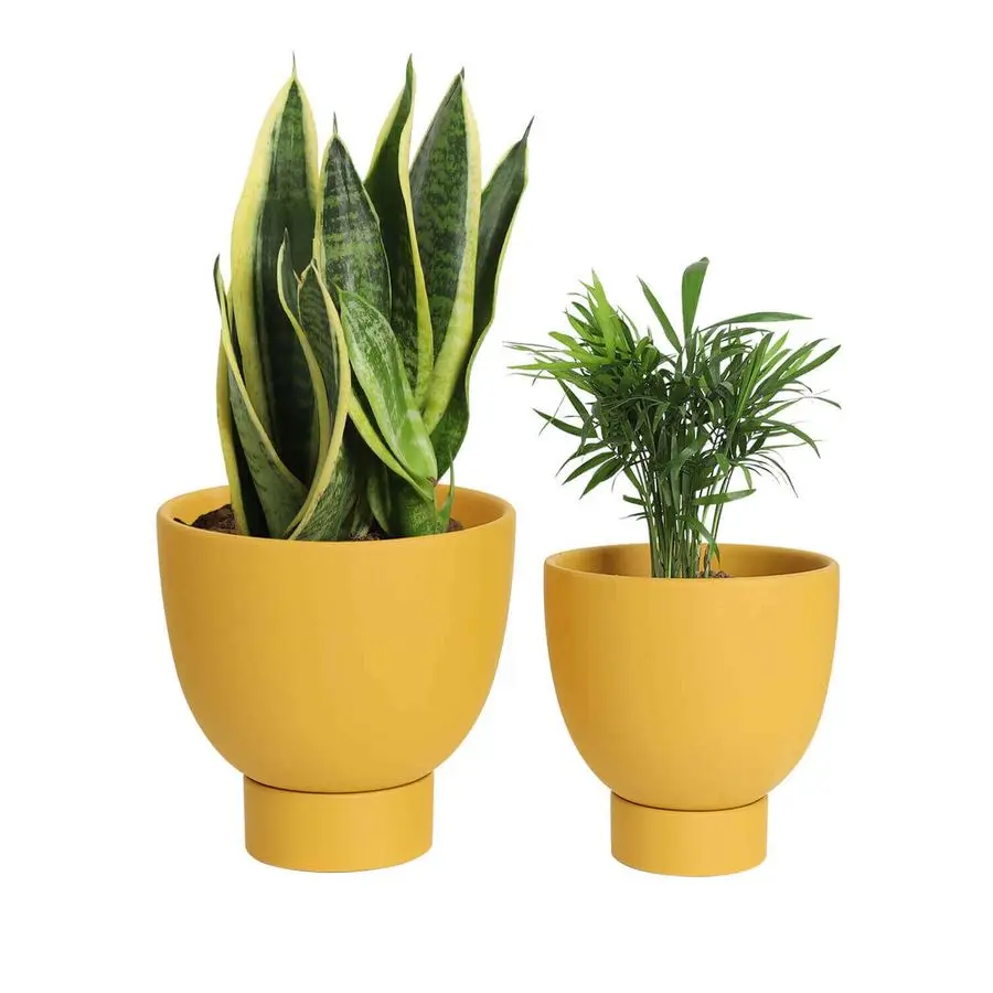 Yellow Terracotta Self Watering Plant Pot 2 PCS 6 Inch amp 8 Inch Terra Cotta Plant Pot with Drainage Hole and Saucer, Small amp
Yellow Terracotta Self Watering Plant Pot 2 PCS 6 Inch amp 8 Inch Terra Cotta Plant Pot with Drainage Hole and Saucer, Small amp