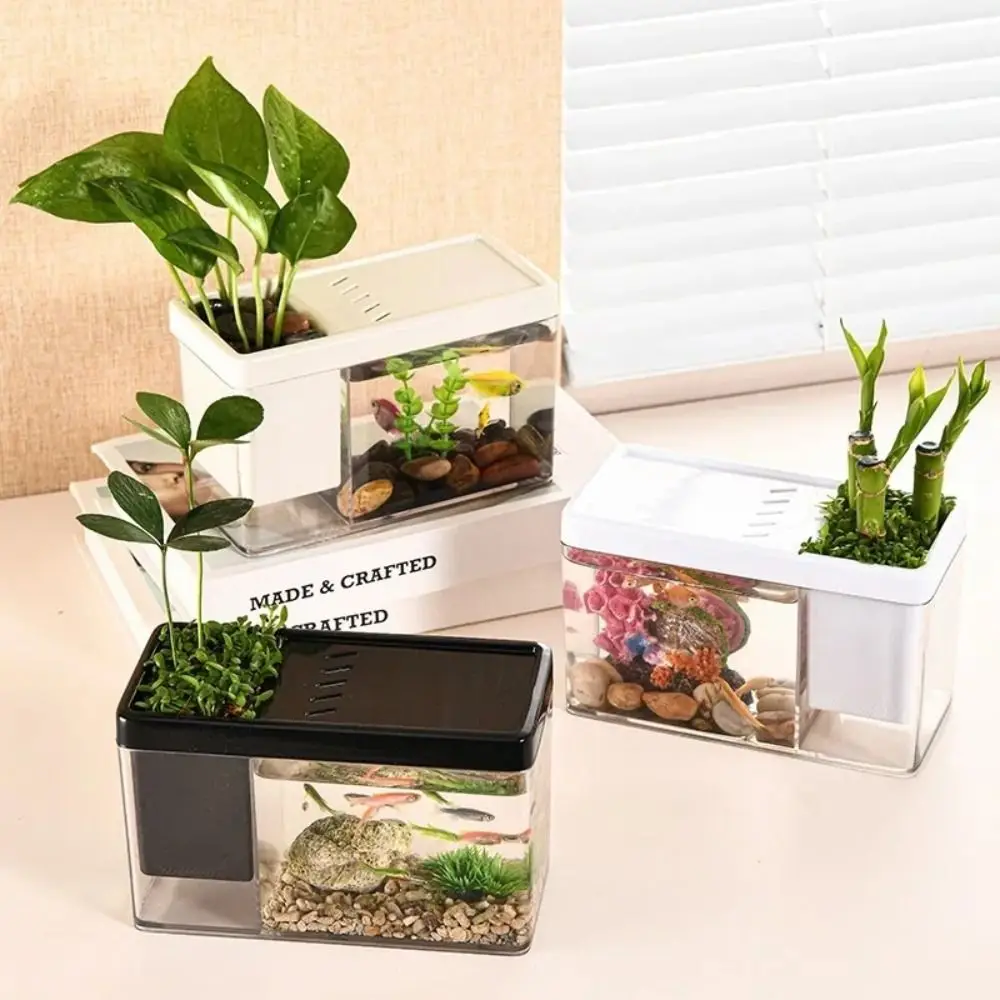 Plastic Amphibious Ecological Tank Small Transparent Fish Tank with Cover and Rabbit Ornaments Multi-functional Goldfish Bowl
Plastic Amphibious Ecological Tank Small Transparent Fish Tank with Cover and Rabbit Ornaments Multi-functional Goldfish Bowl