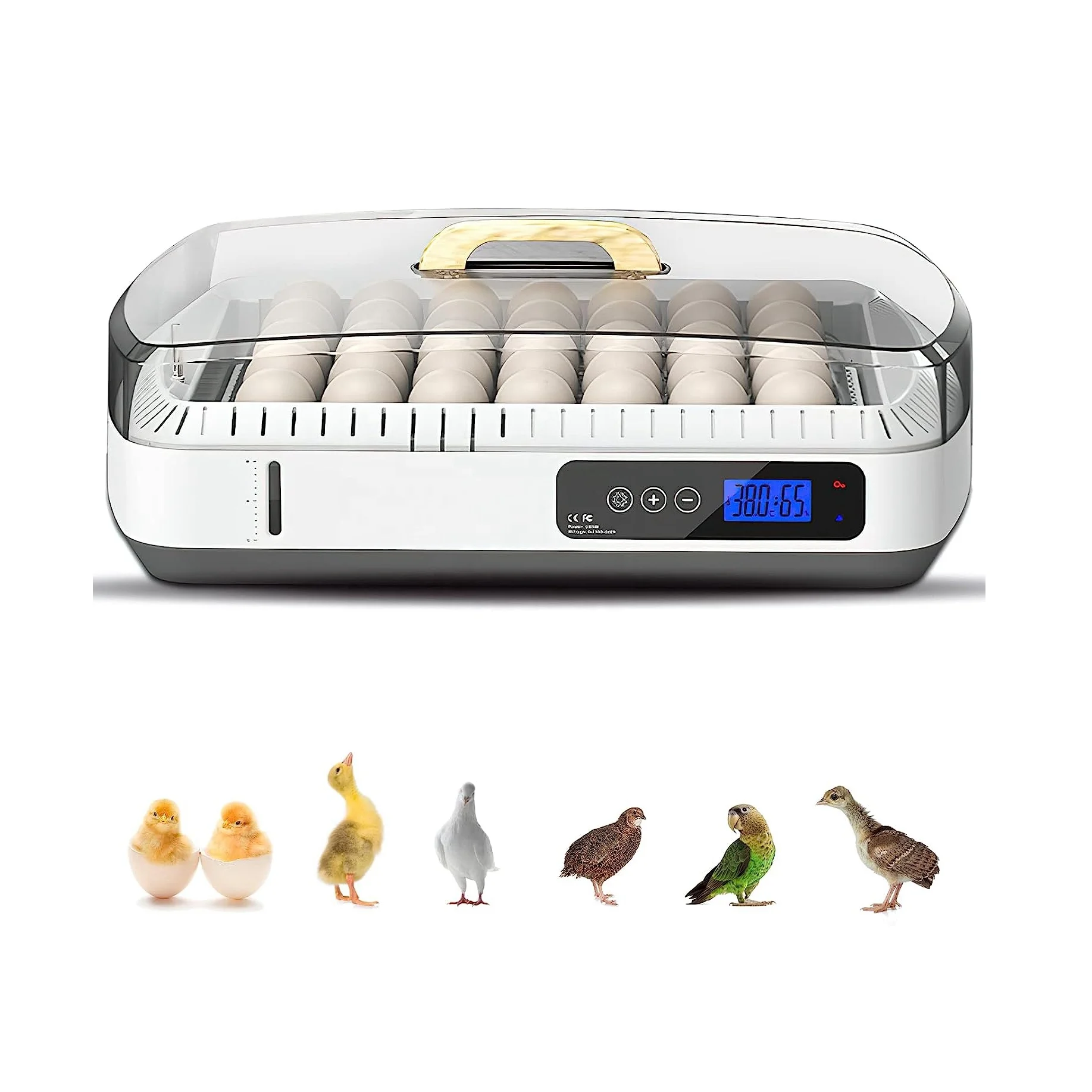 35 Incubators for Hatching Eggs Poultry Hatcher Machine with Automatic Egg Turning Temperature & Humidity Control for Chickens
35 Incubators for Hatching Eggs Poultry Hatcher Machine with Automatic Egg Turning Temperature & Humidity Control for Chickens