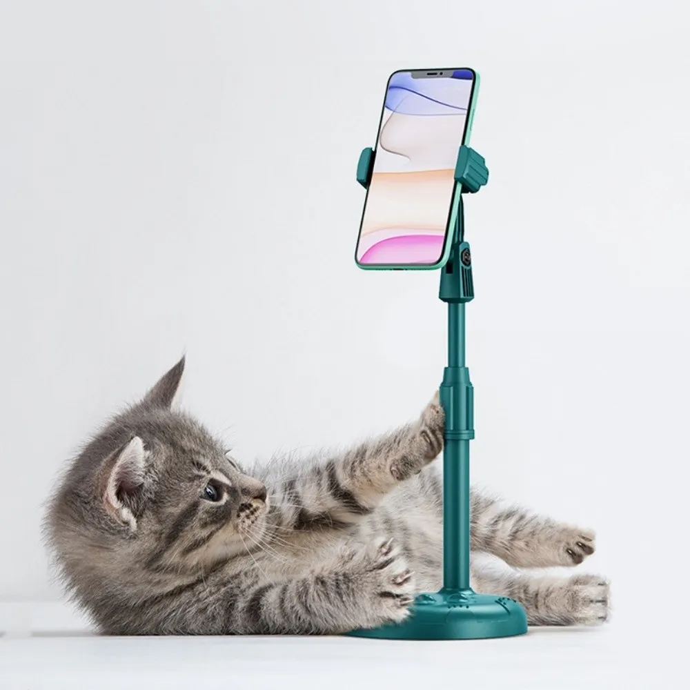 Подставка для телефона, многофункциональная выдвижная подставка для мобильного телефона, настольный держатель, аксессуары для телефонов
Подставка для телефона, многофункциональная выдвижная подставка для мобильного телефона, настольный держатель, аксессуары для телефонов